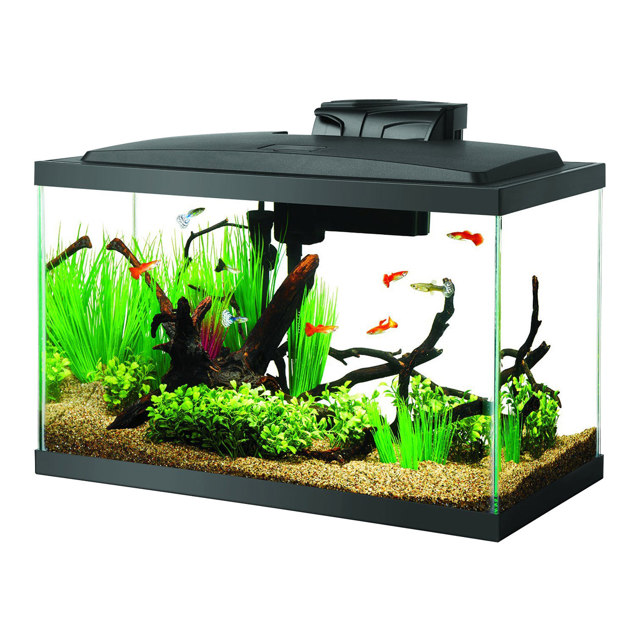 LED Aquarium Kit - 10 gal - NageoireBleue