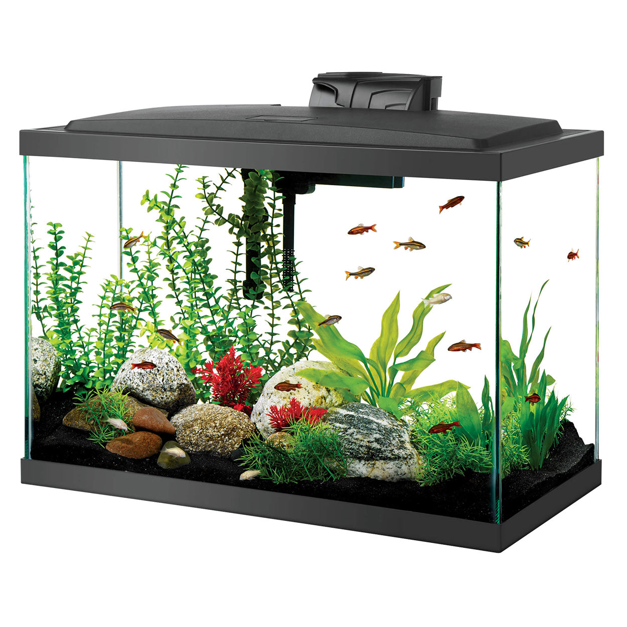 Trousse d’aquarium à DEL – 20 gal (Hauteur)