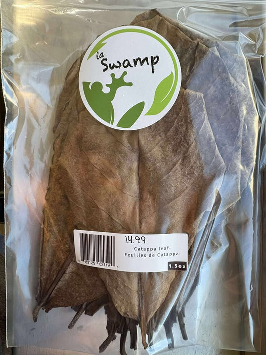 Feuilles de Catappa (1.5 oz) - NageoireBleue