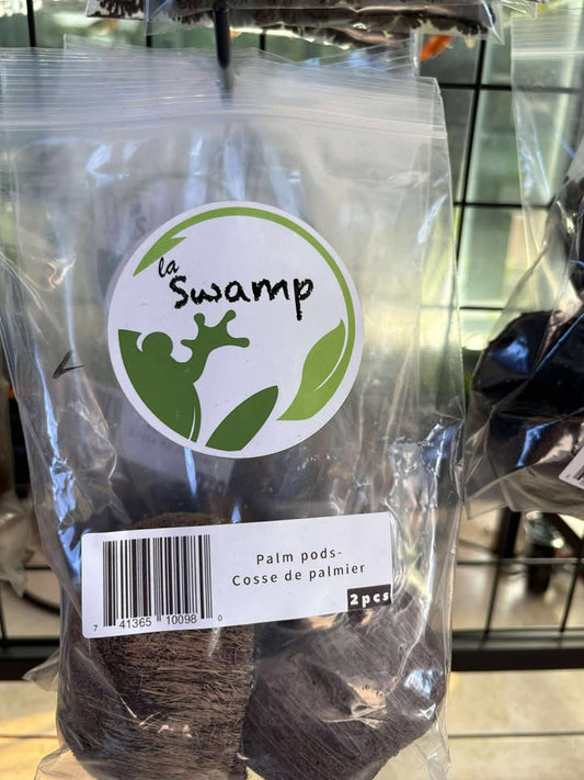 Cosse de palmier (2 morceaux) - NageoireBleue