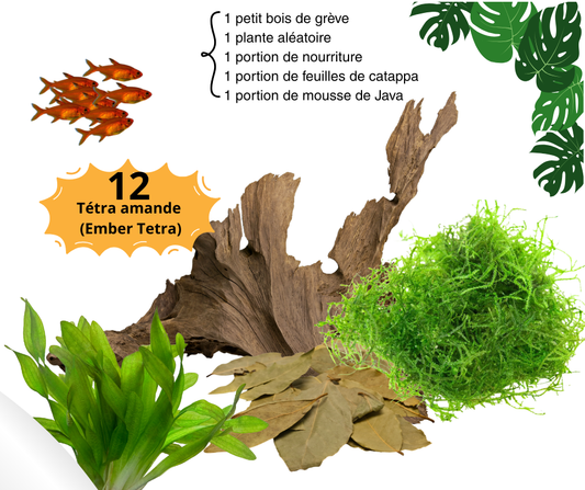 Combos Tétra Amande - NageoireBleue