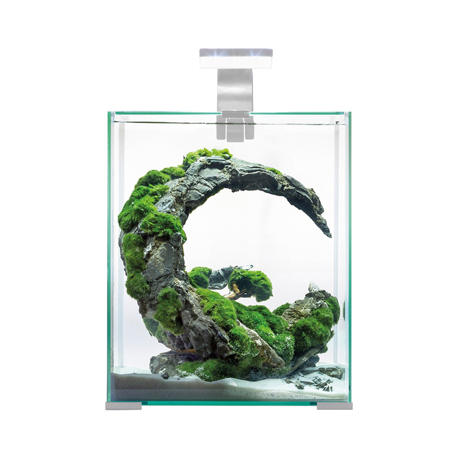 Shrimp Set Day & Night 30L – Noir ou Blanc (Sur Livraison) (Mousse de Java, sol pour crevettes, feuilles de catappa, cônes d’aulne et Shrimp Fit inclus.) - NageoireBleue