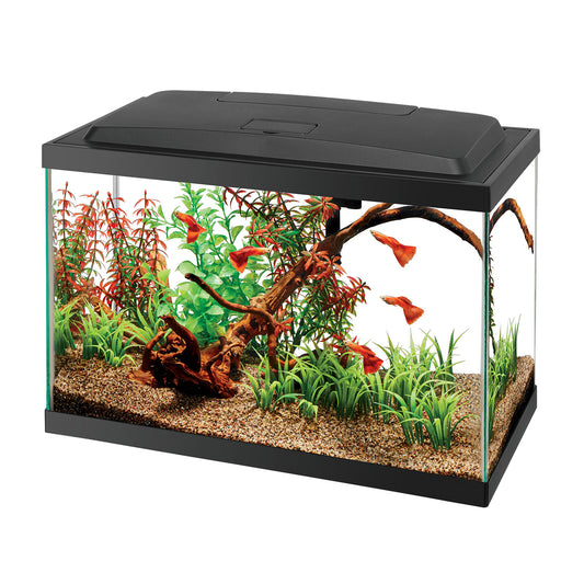 Aqueon 5.5 Gallons Kit - NageoireBleue