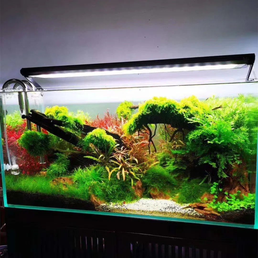 Week Aqua P Series Ver.3 P600 P900 P1200 PRO and Shade Aquarium LED Light, RGB Landscaping Lamp, App Control, Adjustable Height