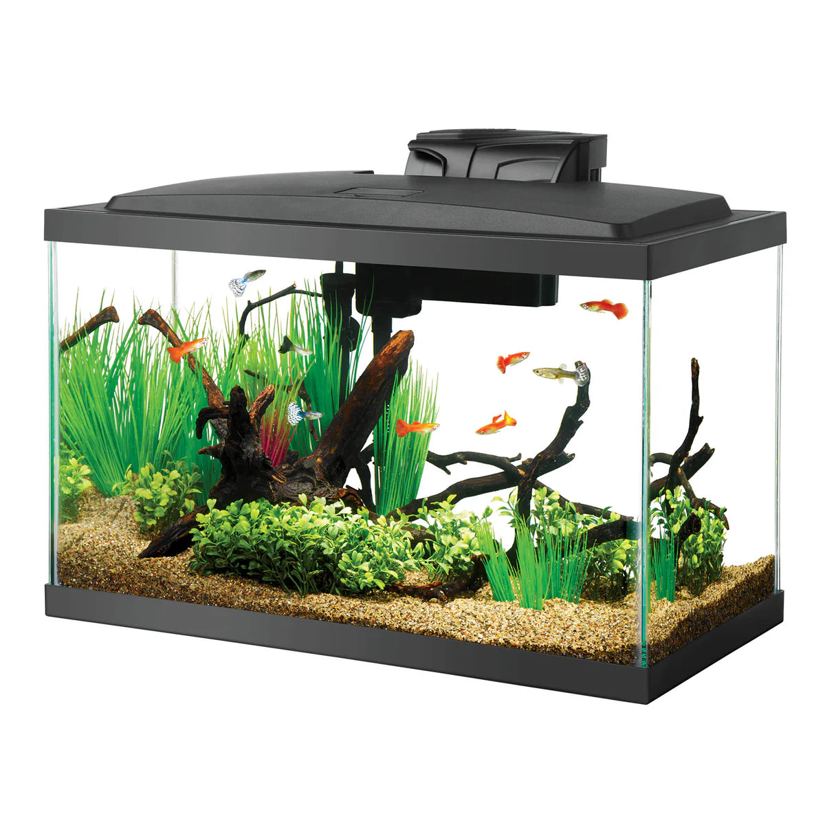 LED Aquarium Kit - 10 gal
