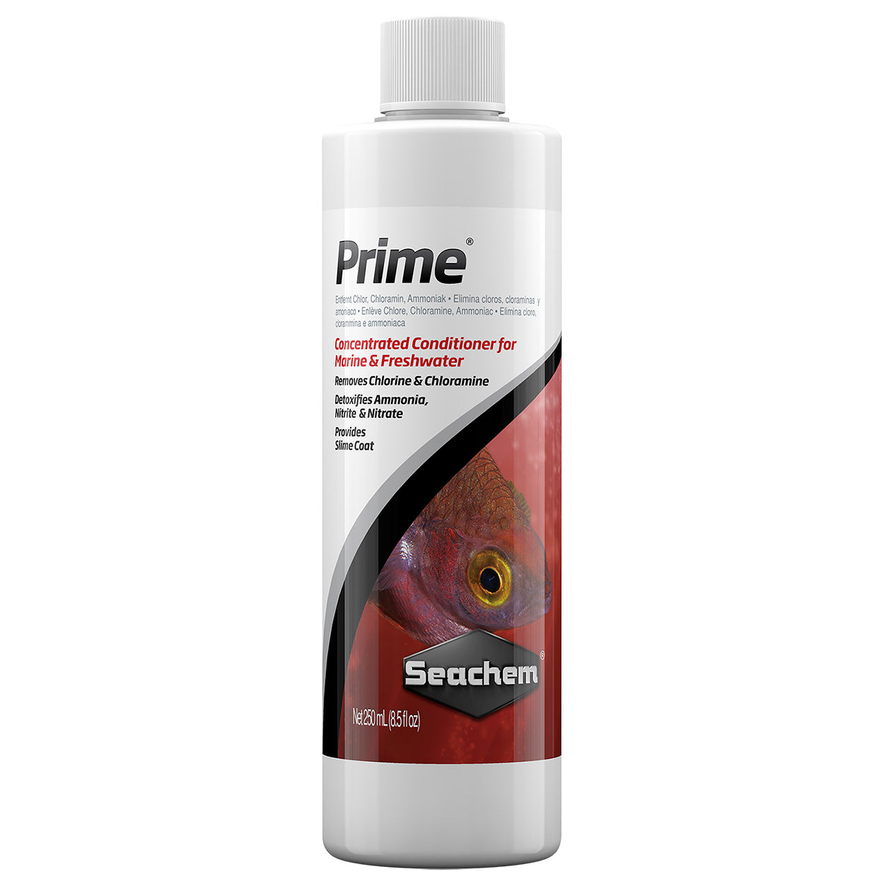 Prime - NageoireBleue